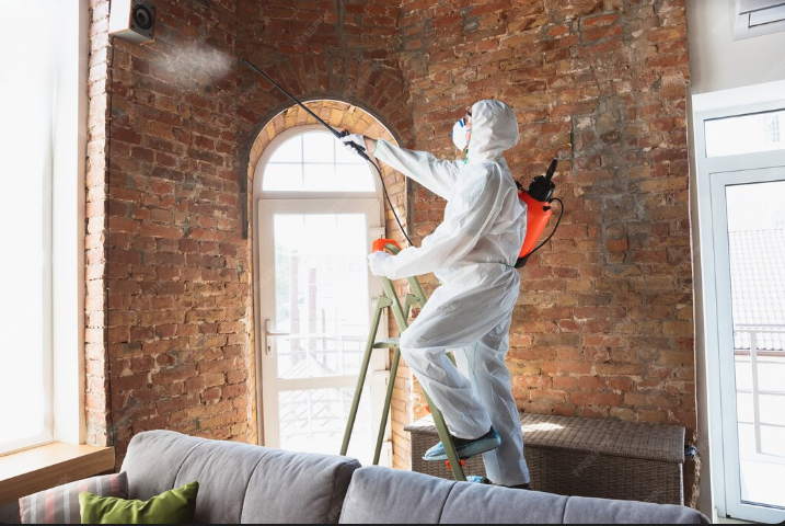 screenshot 2026 01 10 082006